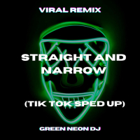 Straight and Narrow When Their Chasing You Down (Tik Tok Edit) - Remix (Single)