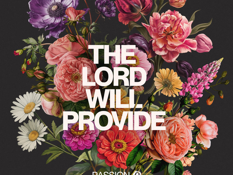 The Lord Will Provide (Single)