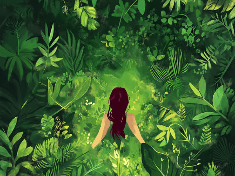 Luz de miel (Single)