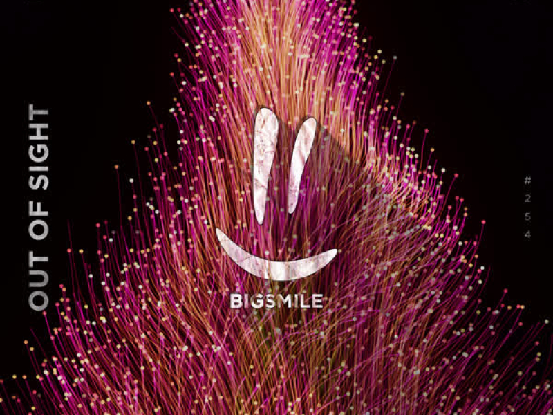 Out of Sight (Single)