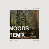 Call Out Work (Remix) (Single)