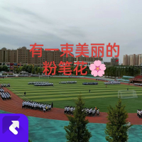 有一束美丽的粉笔花 (Single)