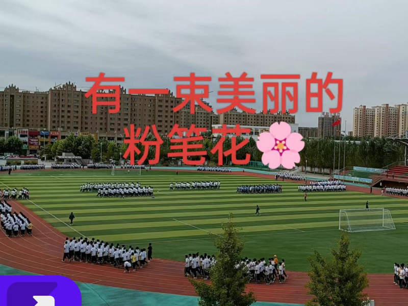 有一束美丽的粉笔花 (Single)