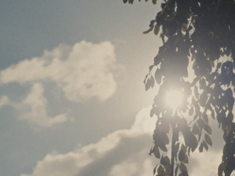 shades of spring (Single)