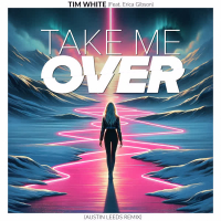 Take Me Over (Austin Leeds Remix) (Single)
