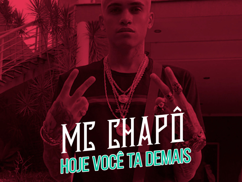 Hoje Você Ta Demais (Single)