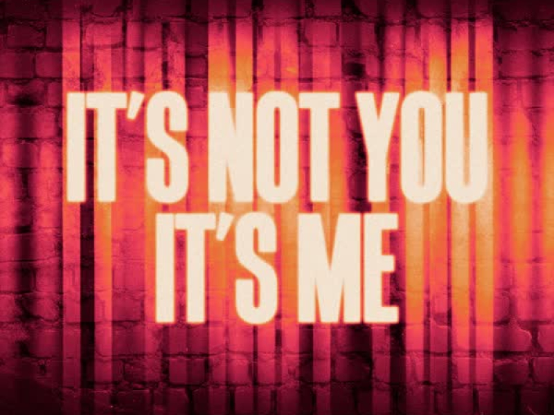 It's Not You, It's Me (Single)