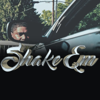 Shake Em (Single)