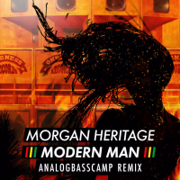 Modern Man (AnalogBassCamp Remix) (Single)