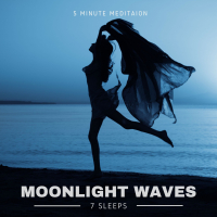 Moonlight Waves (Single)
