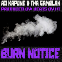 Burn Notice (Single)