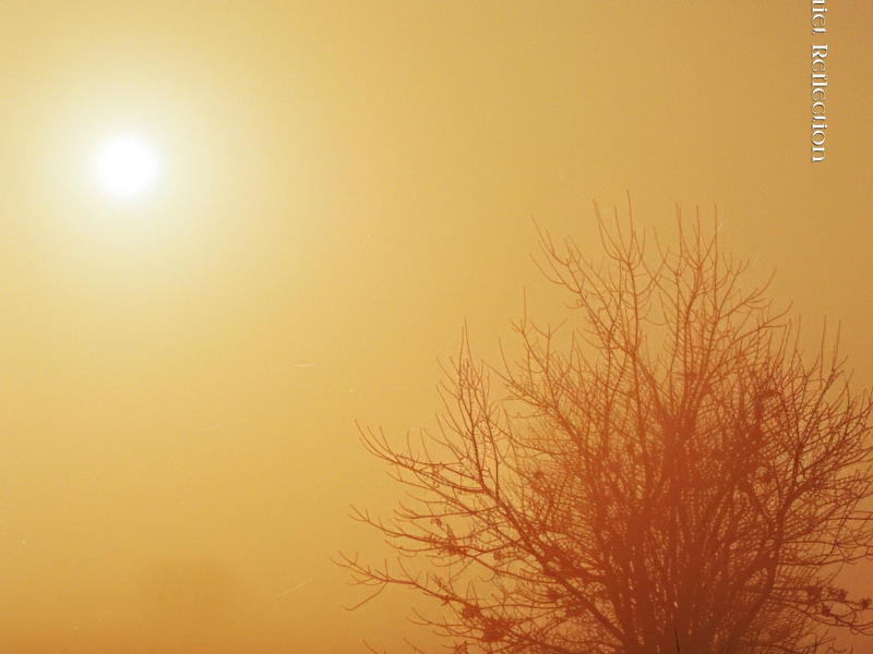 In Quiet Reflection (Single)