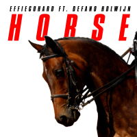 Horse (Single)