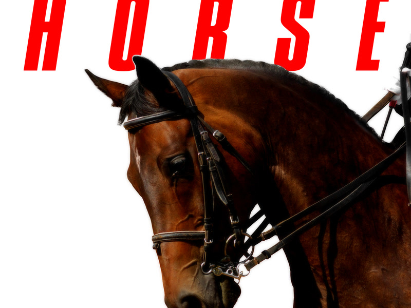 Horse (Single)