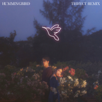 Hummingbird (Trifect Remix) (Single)