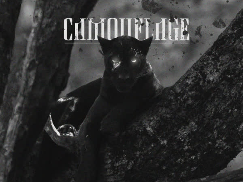 CAMOUFLAGE (Single)