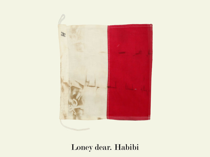 Habibi (A clear black line) (Single)