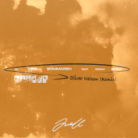 Den Sommaren (Oliver Nelson Remix) (Single)