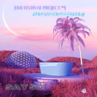 Say So. (Single)