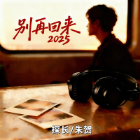 别再回来2025 (Single)
