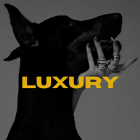 Luxury (Single)