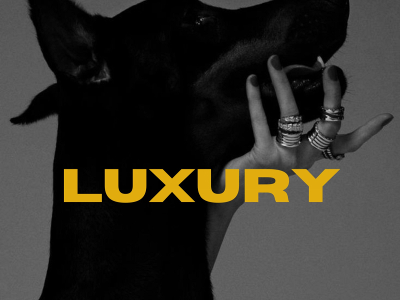 Luxury (Single)