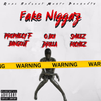 Fake Niggaz (Single)