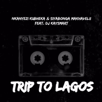 Trip To Lagos (Single)
