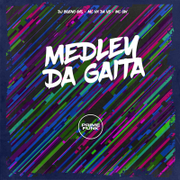 Medley da Gaita (Single)