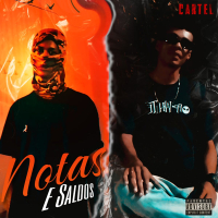 Notas e Saldos (Single)