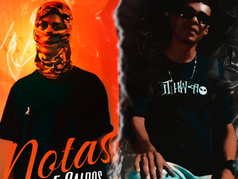 Notas e Saldos (Single)