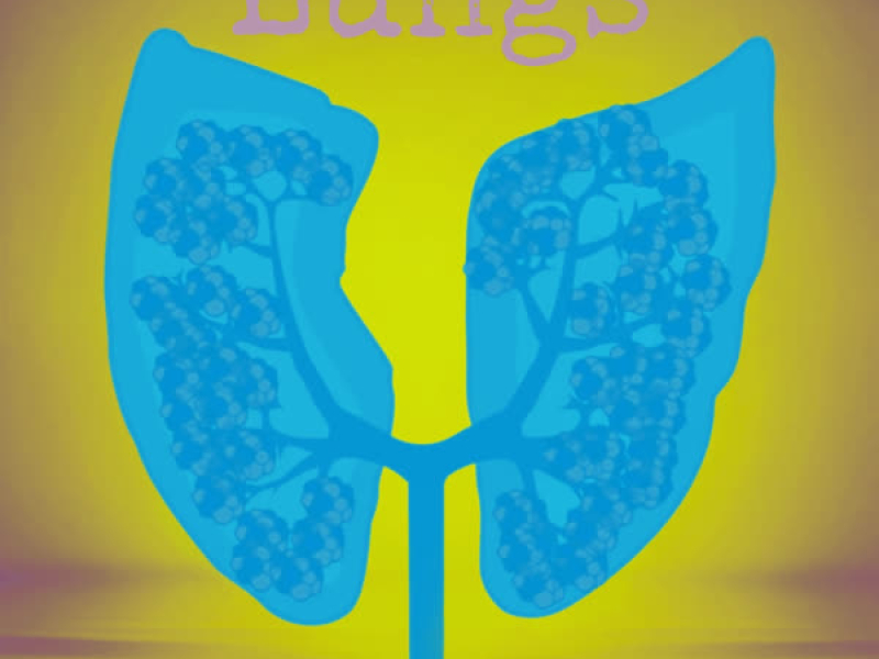 LUNGS (Single)