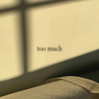 TOO MUCH (Single)