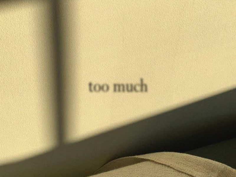 TOO MUCH (Single)