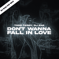 Don't Wanna Fall In Love (DJ Rae VIP Mix) (EP)