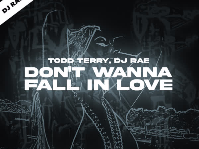 Don't Wanna Fall In Love (DJ Rae VIP Mix) (EP)