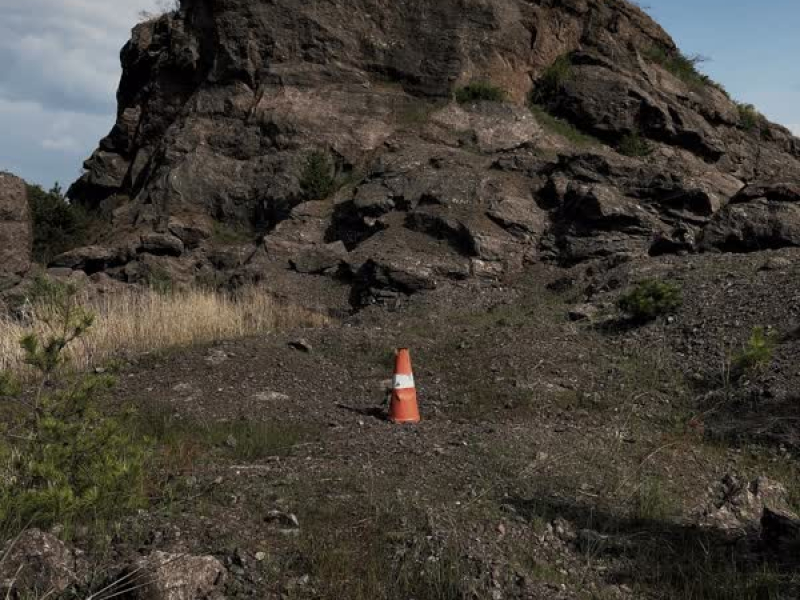 Dust (feat. Syndasizung) (Single)