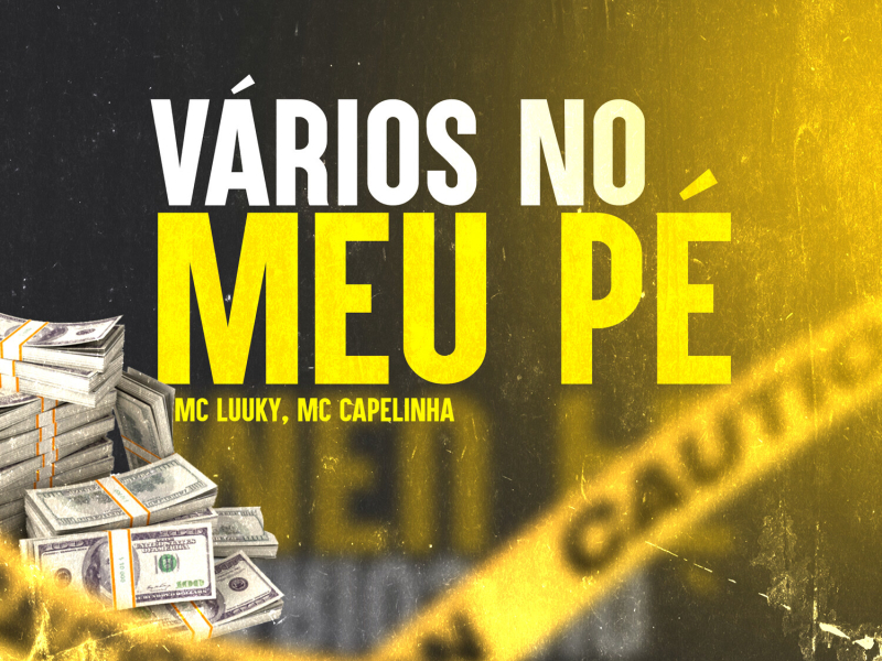 Varios no meu pé (Single)