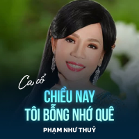 Chiều Nay Tôi Bỗng Nhớ Quê (Single)