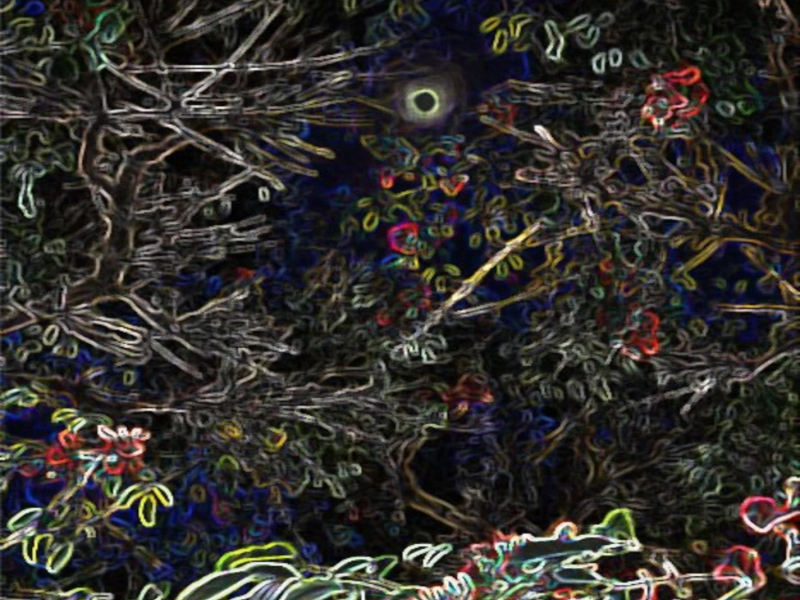 Colors from Cluster (Single)