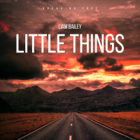 Little Things (Single)