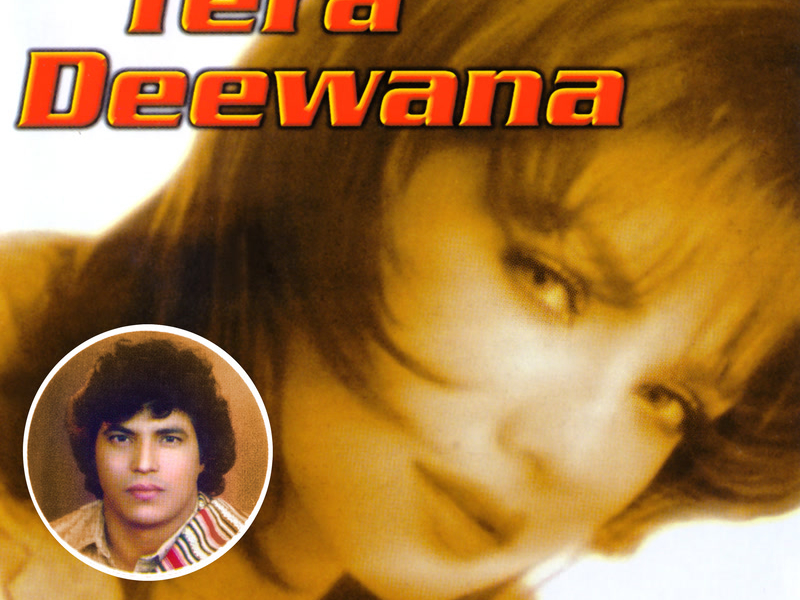 Tera Deewana, Vol. 4