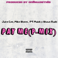 Pay Me (P-Mix) (Single)