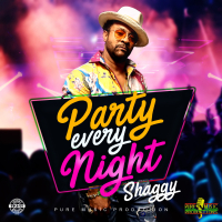 Party Every Night (Single)