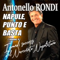 Napule, punto e basta, Vol. 4: I Grandi Successi del Novecento Napoletano