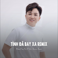 Tình Đã Bay Xa (Remix Ytmix) (Single)