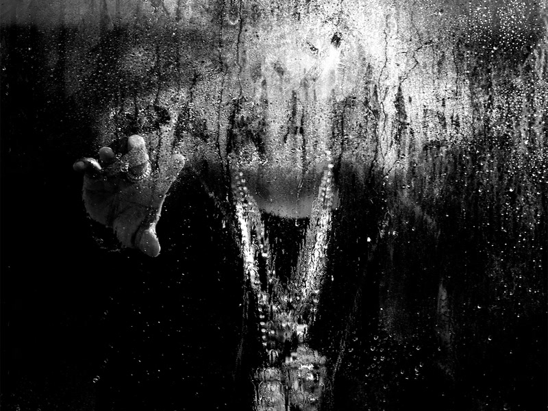 Dark Sky Paradise (Deluxe)