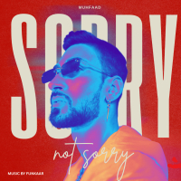 Sorry Not Sorry (Single)