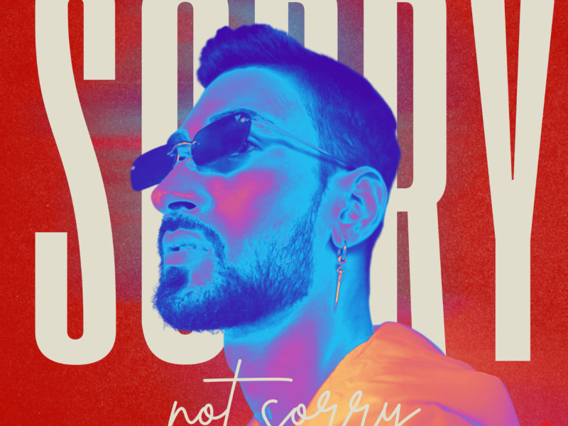 Sorry Not Sorry (Single)