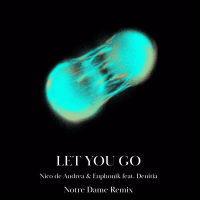 Let You Go (Notre Dame Remix) (Single)